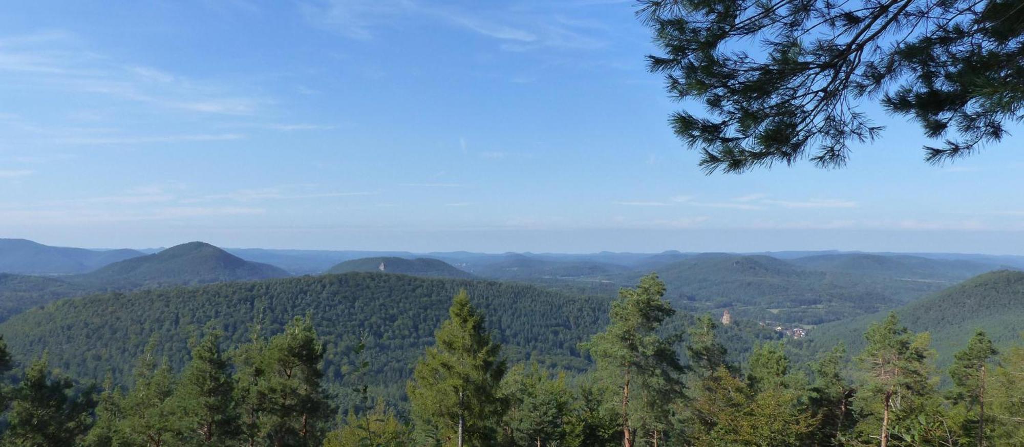 Ferienwohnung "Monte Noble" Suedpfalz Erlenbach  Esterno foto