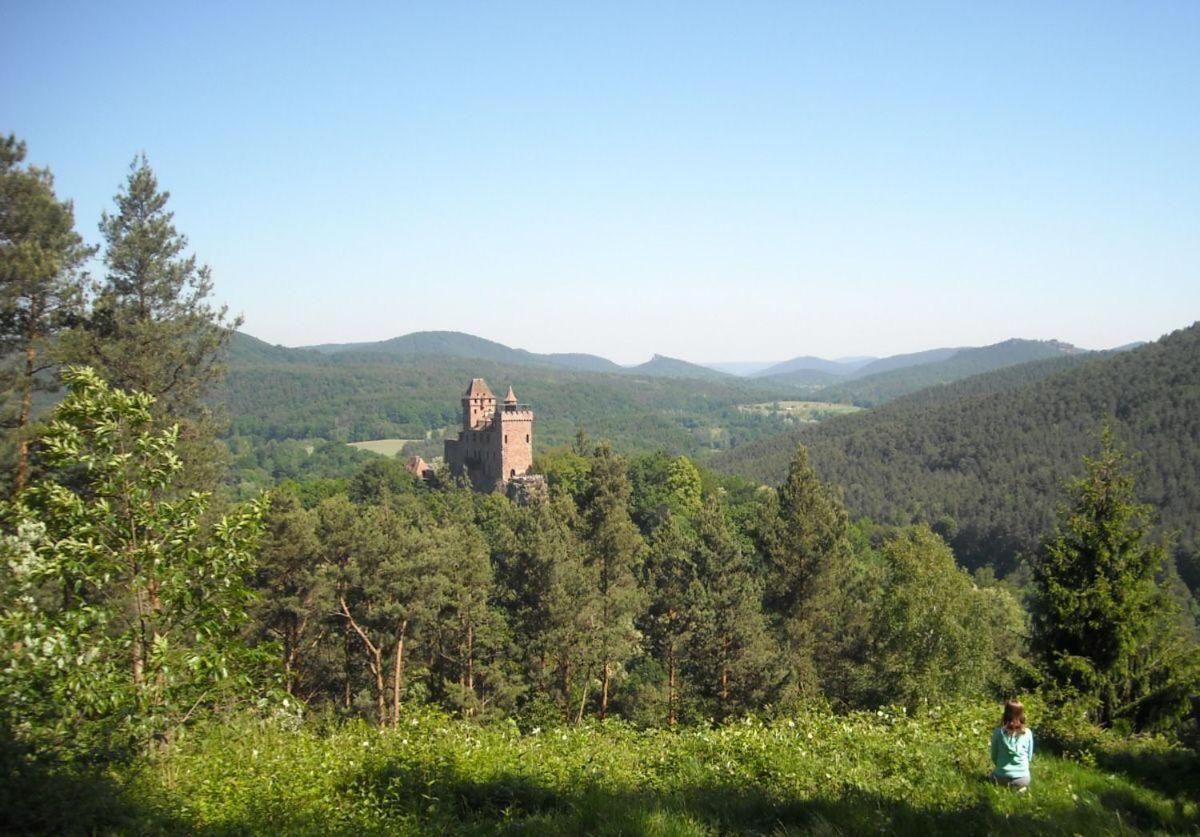 Ferienwohnung "Monte Noble" Suedpfalz Erlenbach  Esterno foto