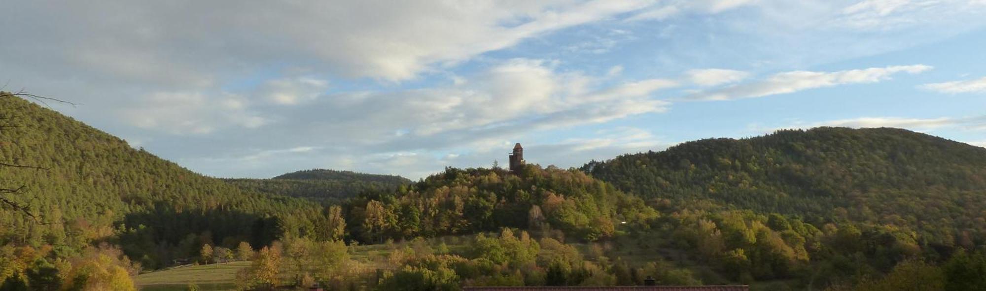 Ferienwohnung "Monte Noble" Suedpfalz Erlenbach  Esterno foto